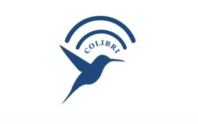 Vorstellung unseres Projekts Colibri auf dem „International Research Symposium on Problem-Based Learning“