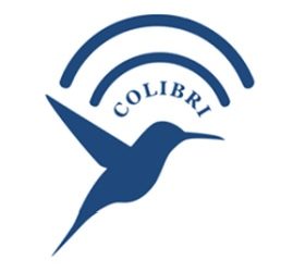 Introducing our project Colibri at the „International Research Symposium on Problem-Based Learning“