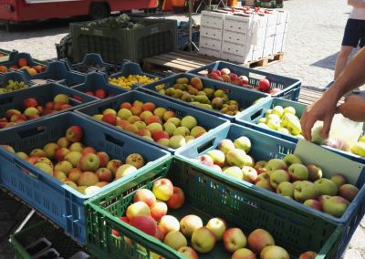 Ein Marktstand mit Äpfeln in Frankfurt (Oder)