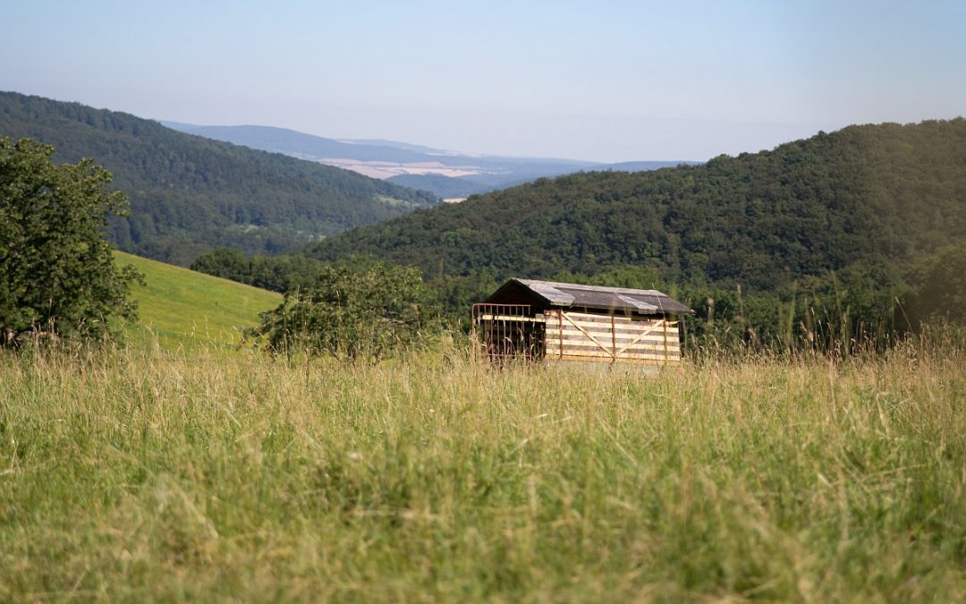 Ein landwirtschaftlicher Anhaenger steht am 19.07.2016 im Werra-Meissner Kreis / Schwalm-Eder Kreis im Rahmen einer Bereisung fuer MOROdigital auf dem Feld. Foto: aconium GmbH / Florian Schuh