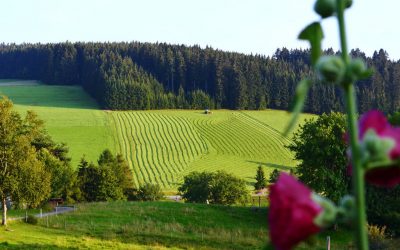 Breitbandausbau im Landkreis Rottweil – Vorreiter in Baden-Württemberg