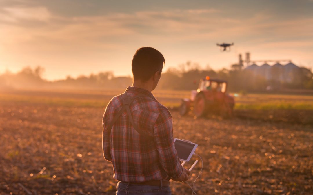 Titelbild Fachdossier "Hightech auf dem Feld: Digitale Transformation in der Landwirtschaft"