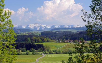 Glasfaser für alle bis 2030: Landkreis Ravensburg setzt auf die Zukunft