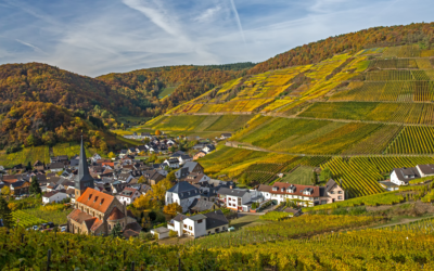 Neuer Förderbescheid für die Fortsetzung des Projekts „Netzwerk Digitale Dörfer Rheinland-Pfalz“