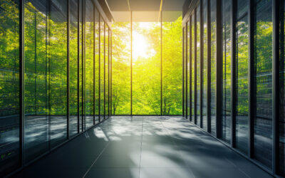 Regionale Rechenzentrumsstrategie für Hessen: Grundlagen für eine nachhaltige digitale Infrastruktur